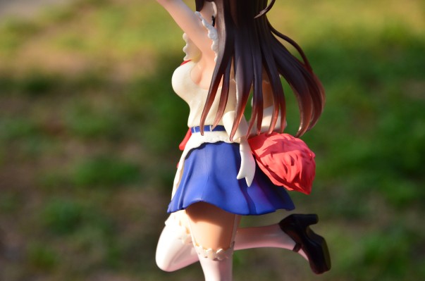 Coreful Figure 租借女友 水原千鹤