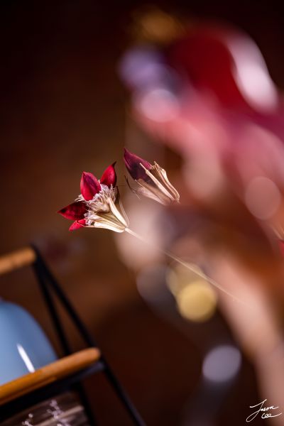 超级索尼子 索尼子 天秤座ver.