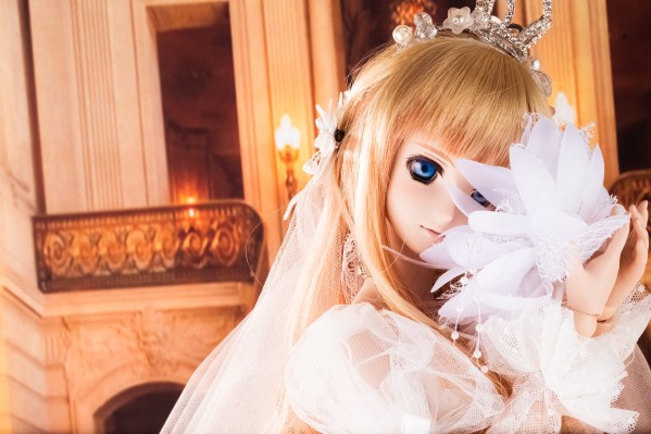 Dollfie Dream DD 超时空要塞F 雪莉露・诺姆