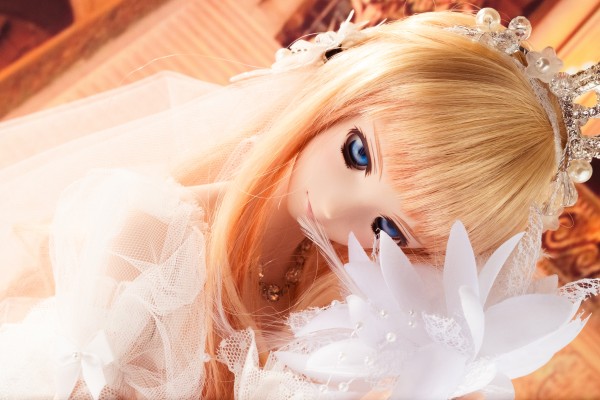 Dollfie Dream DD 超时空要塞F 雪莉露・诺姆