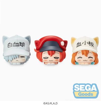 工作细胞 血小板