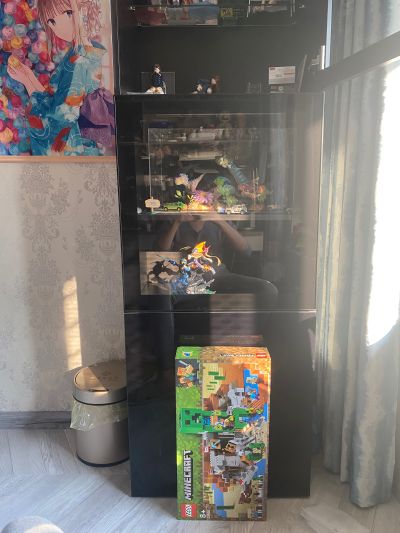 游戏角色系列DX 洛克人EXE 洛克人EXE&佛鲁迪EXE