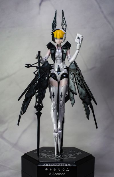 chitocerium ornatio .face 0.2.0.10.0 α