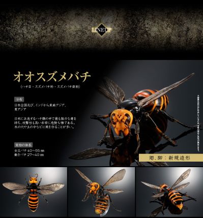 动物大图鉴 大黄蜂