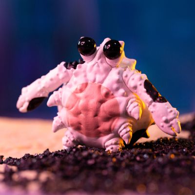 Bubbles 水产世界 螃蟹螃蟹盲盒