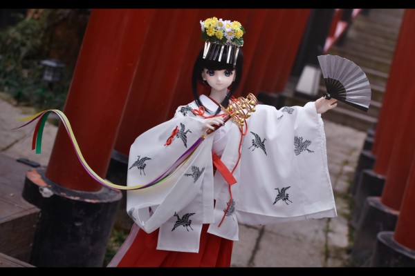 Dollfie Dream Sister DDS 偶像大师 萩原雪歩