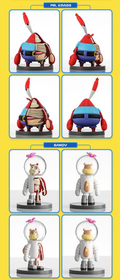 半解剖系列 海绵宝宝盲盒第一代