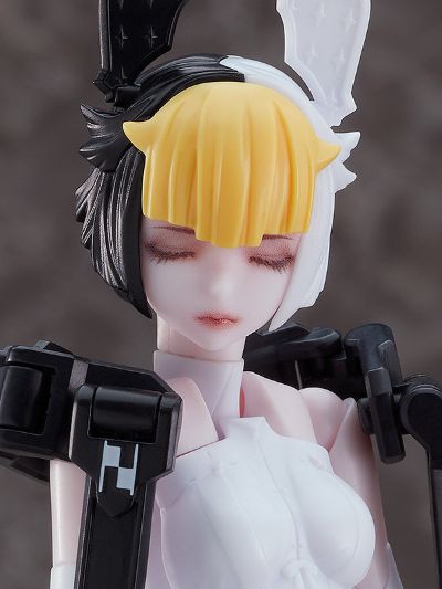 chitocerium ornatio .face 0.2.1.3.0 α