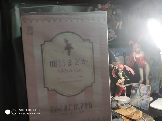 B-style 剧场版 魔法少女小圆 叛逆的物语 鹿目圆 兔耳