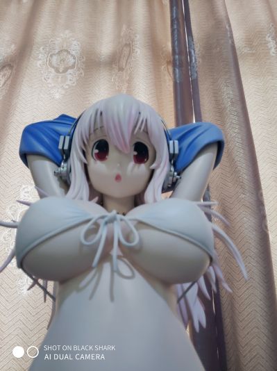 超级索尼子 1/2 ポリレジン