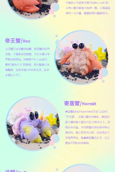 Bubbles 水产世界 螃蟹螃蟹盲盒