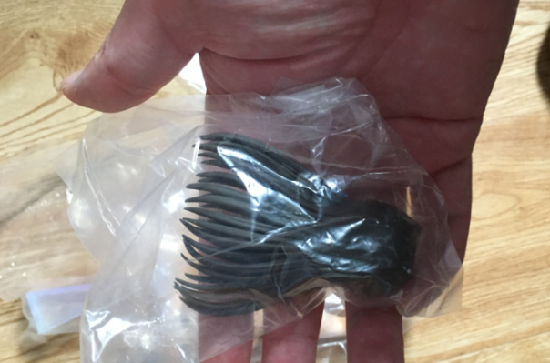 ギガパルス创业10周年记念NEW企画！ 淫妖虫 凌触学园退魔录 香山水依 性奴ver