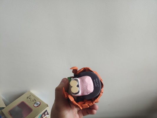 Look up 鬼灭之刃 灶门祢豆子