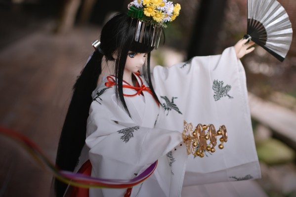 Dollfie Dream Sister DDS 偶像大师 萩原雪歩