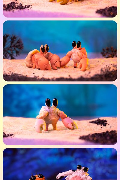 Bubbles 水产世界 螃蟹螃蟹盲盒