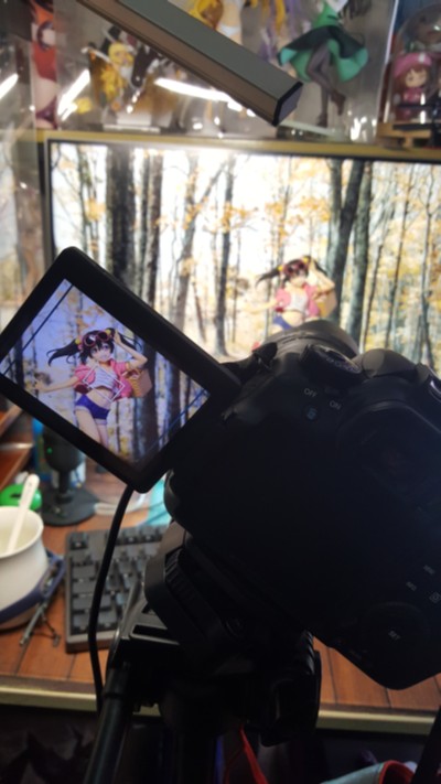 LoveLive! 矢泽妮可 野餐女孩