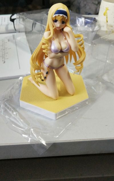 BEACH QUEENS IS 塞西莉娅・奥路卡特 Ver.2