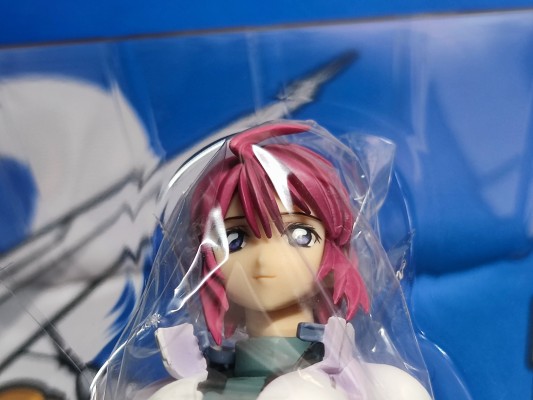 Excellent Model RAH DX 3 机动战士高达SEED Destiny 露娜玛利亚・霍克