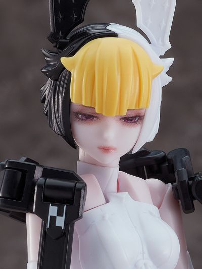 chitocerium ornatio .face 0.2.1.3.0 β