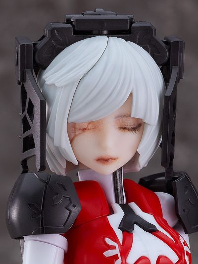 chitocerium ornatio .face 0.2.1.3.0 γ