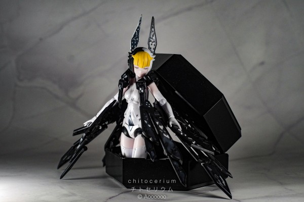 chitocerium ornatio .face 0.2.0.10.0 α