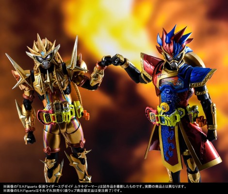 S.H.Figuarts 假面骑士：艾克赛德 假面骑士悖论  完美奋击玩家 等级99