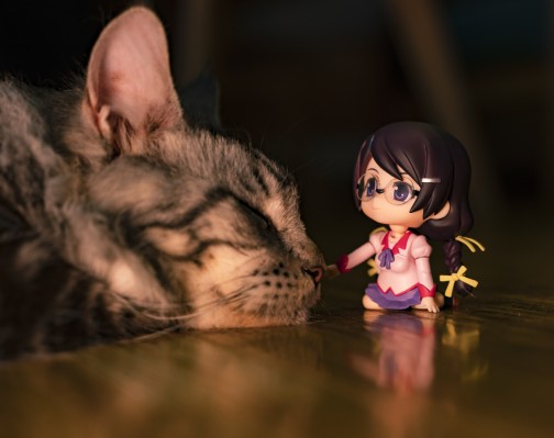 粘土人 #404 化物語 羽川翼