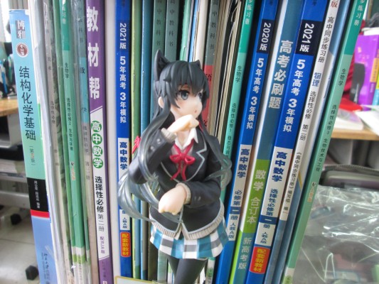 Coreful Figure 	我的青春恋爱物语果然有问题 续 雪之下雪乃