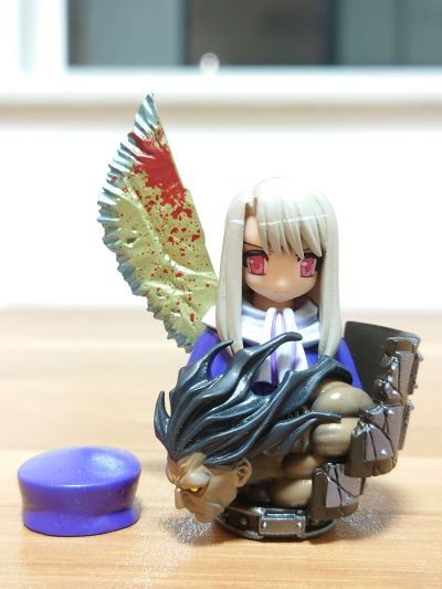 Fate Fantasm BOX 1 イリヤとゆかいな仲間たち 【イリヤ胸像フィギュア付録】 （書籍）