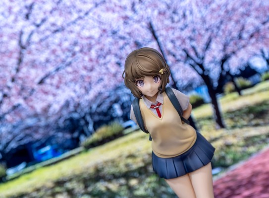 青春期笨蛋不做兔女郎学姐的梦 古贺朋绘