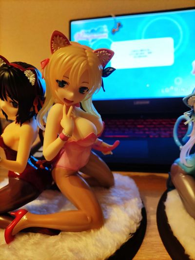 我的朋友很少NEXT 柏崎星奈 猫COSVer.