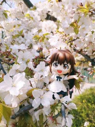 粘土人 #219 迷糊餐厅 种岛白杨