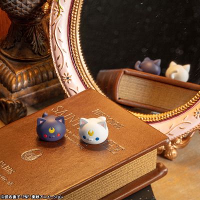 超级美少喵战士 代表月亮惩罚你喵 ！