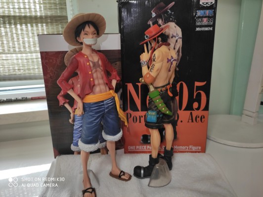 One Piece - Memory Figure 海贼王 波特卡斯·D·艾斯