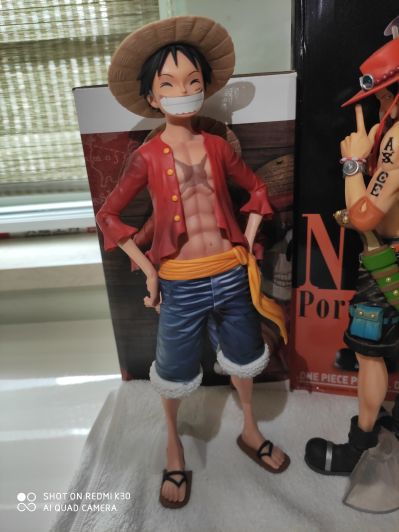One Piece - Memory Figure 海贼王 波特卡斯·D·艾斯