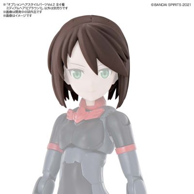 30MS 扩展发型配件第二弹 中短发1(棕色1)