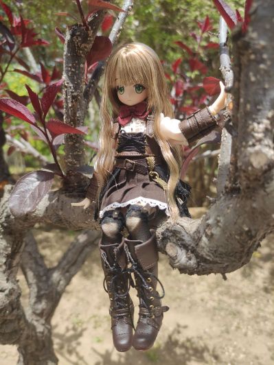 Alvastaria 裁缝师小红帽和森林狼 缇雅