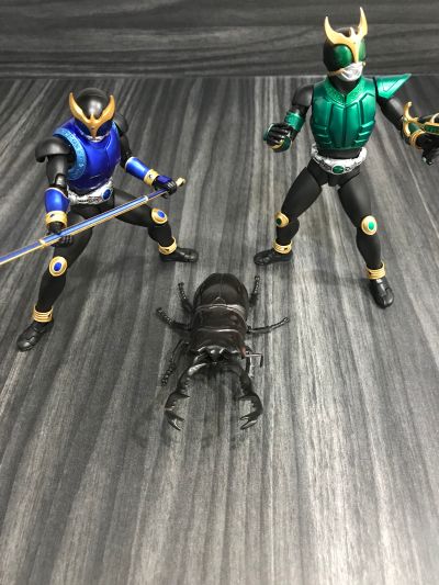 S.H.Figuarts(真骨雕制法) 假面骑士空我  假面骑士空我 青龙形态