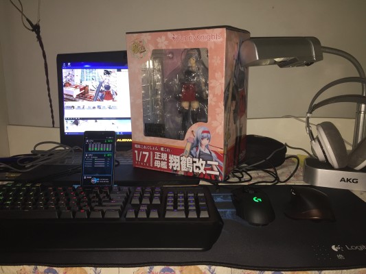 舰队Collection -舰娘- 翔鹤 改二甲