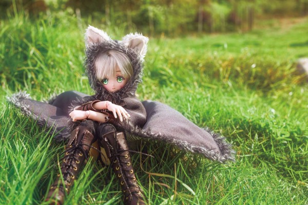 Alvastaria 裁缝师小红帽和森林狼 缇欧