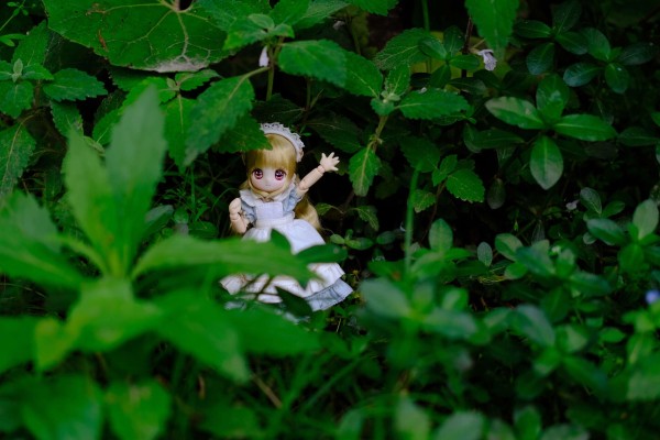 糖果杯 饼干 ～欢迎来到糖果杯仙境～ (Azone商城限定贩售 ver.)