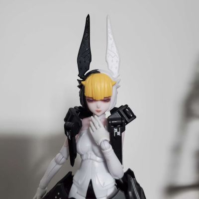 chitocerium ornatio .face 0.2.1.3.0 β