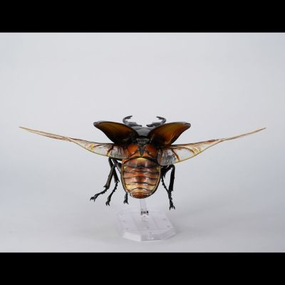 REVOGEO 长颈鹿锯锹