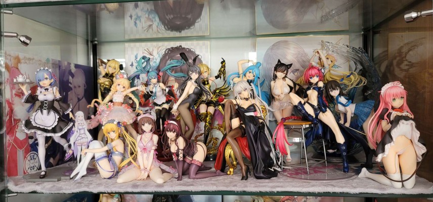 塑料老婆和纸片人老婆