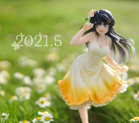 五月的春色，留下了你的笑颜