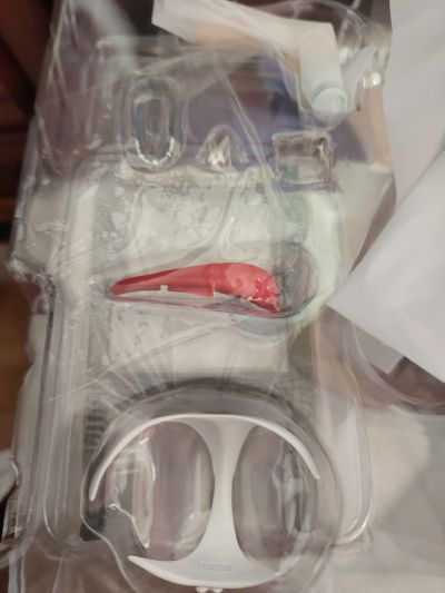 胡川香乃 红艳Ver.