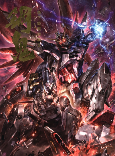 METAL ROBOT魂＜SIDE MS＞ 机动战士高达SEED Destiny ZGMF-X42S 命运高达