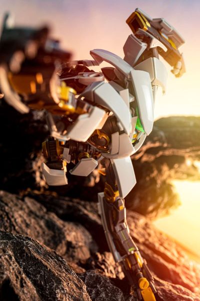 Good Smile Arms 乐园追放  新罗汉