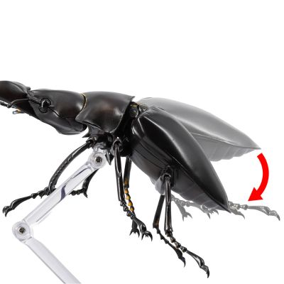 REVOGEO 长颈鹿锯锹