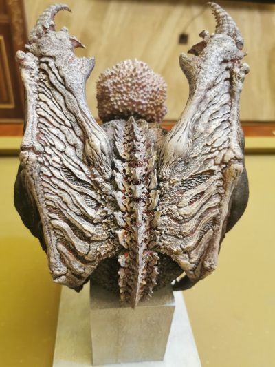 Cthulhu Evolution 克苏鲁神话 克苏鲁